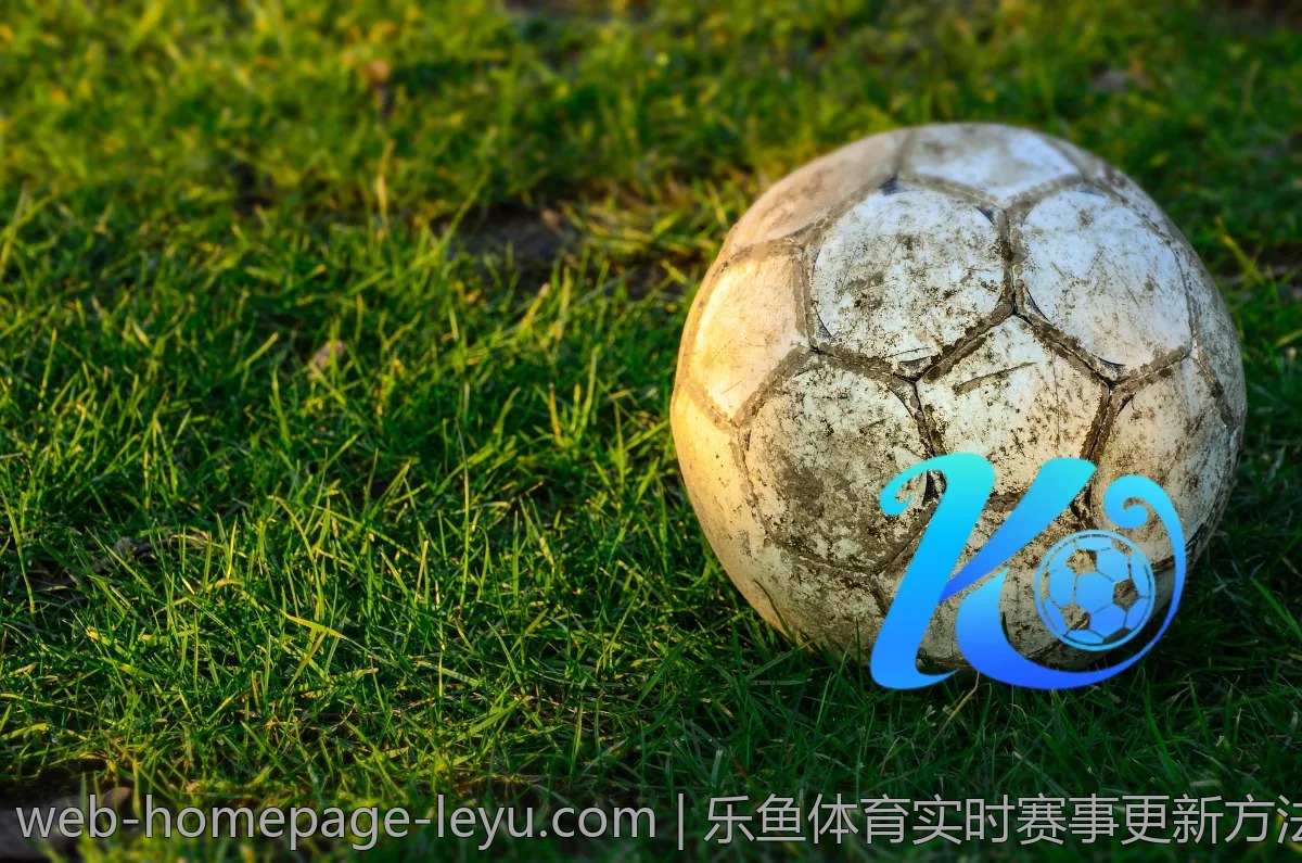 乐鱼体育实时赛事更新方法，别错过每一场精彩