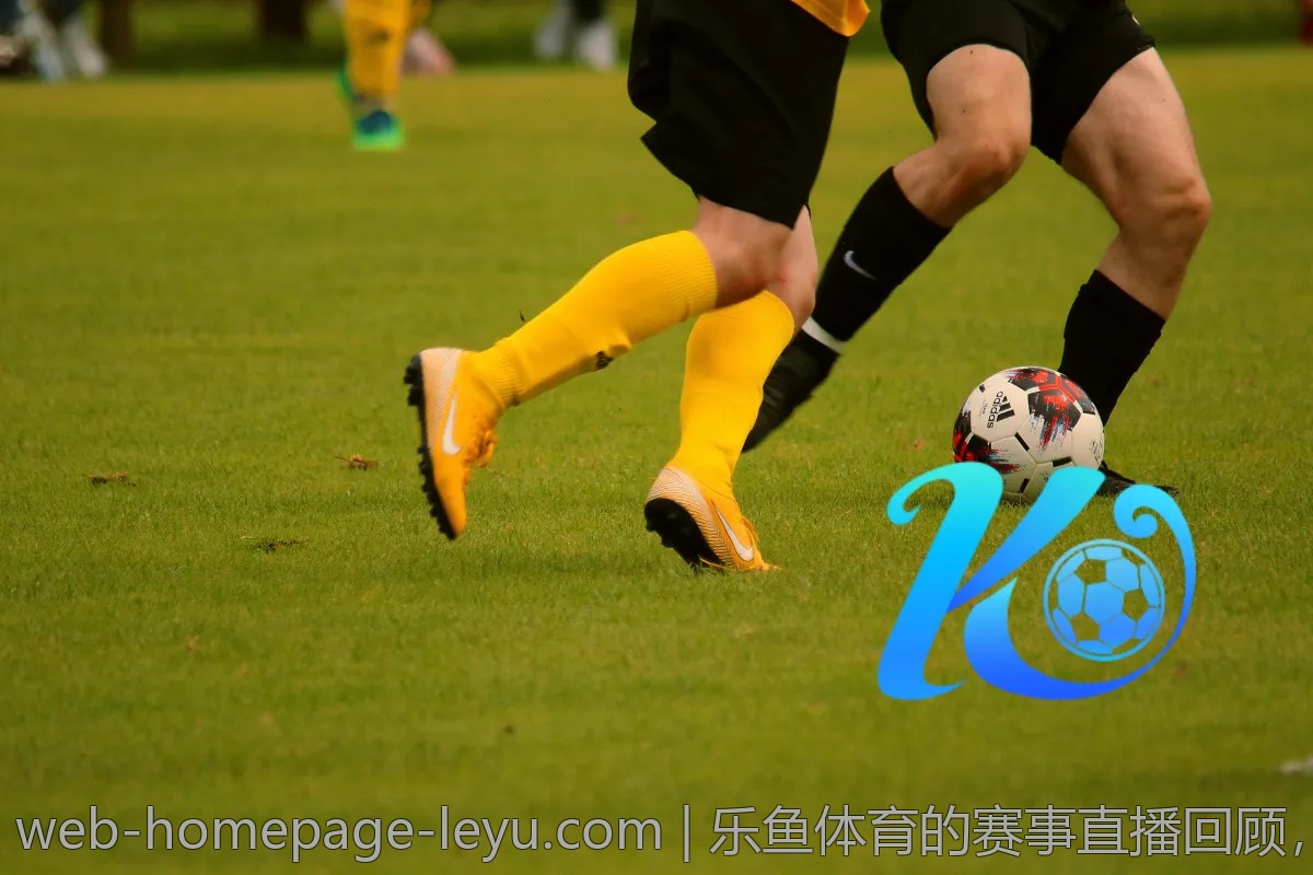 乐鱼体育的赛事直播回顾，重温精彩瞬间